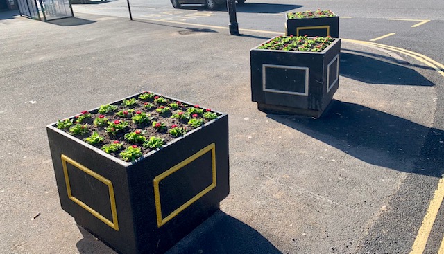 Winter in Bloom Scheme